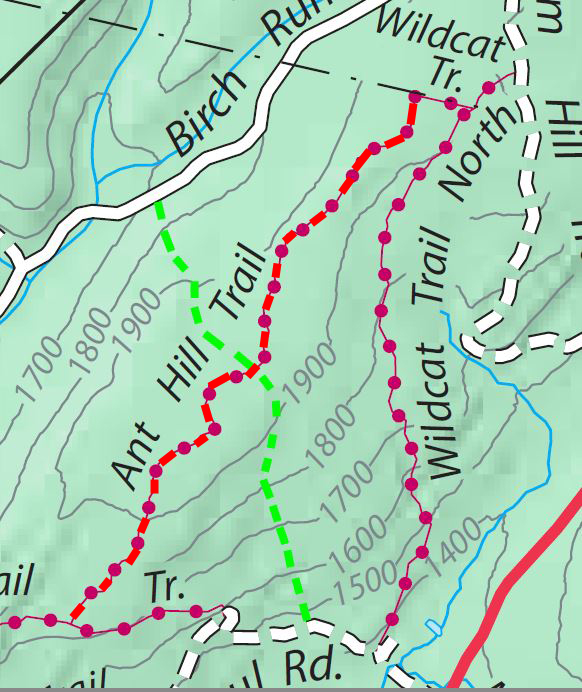 Anthill trail