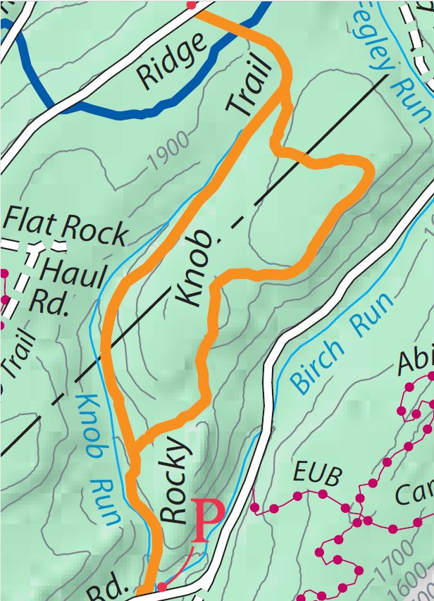 Rocky Knob trail