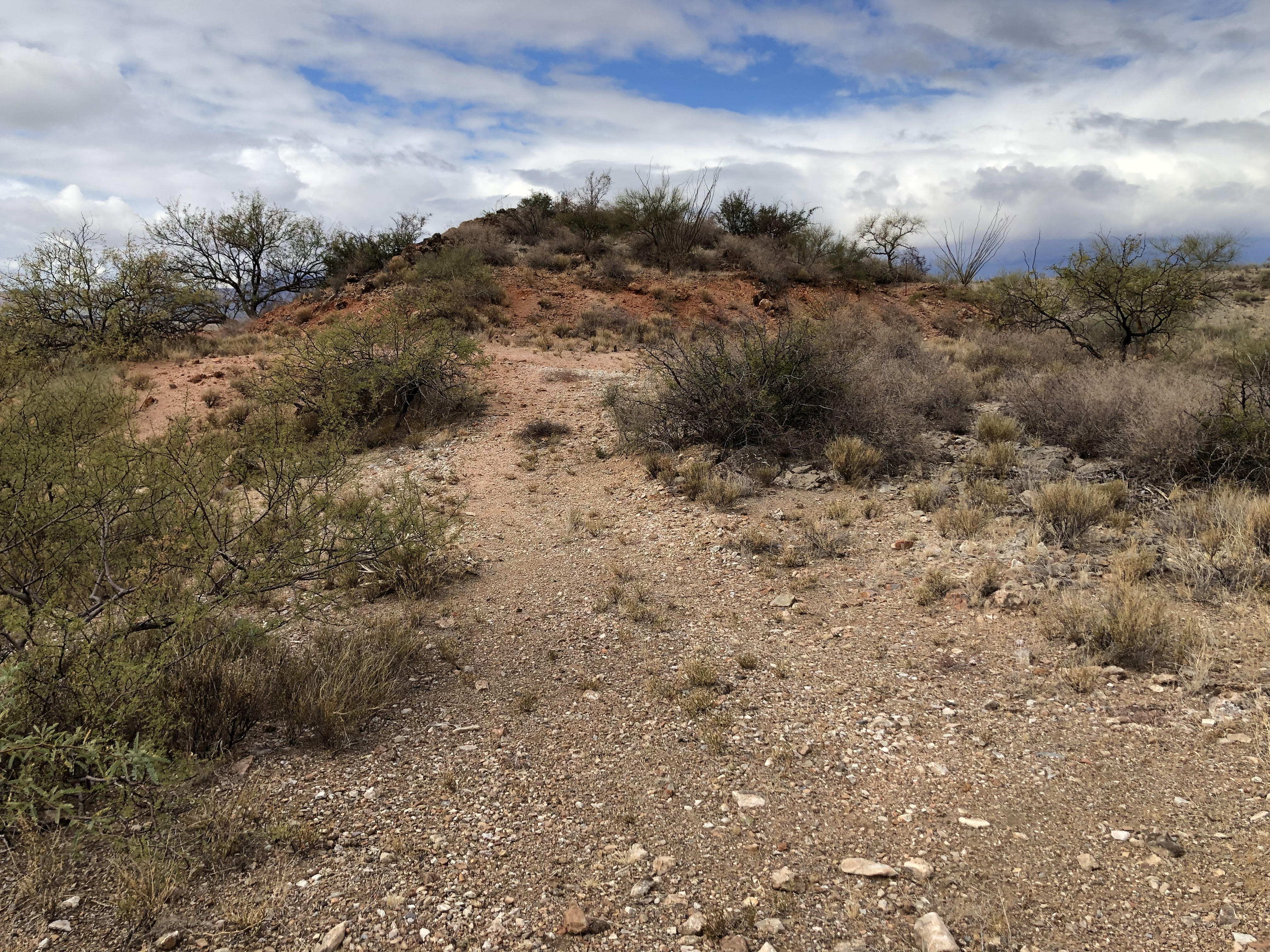Bedrock outcrop not found