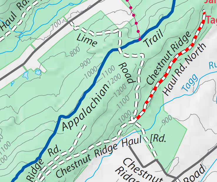 Chestnut Ridge haul road north trail