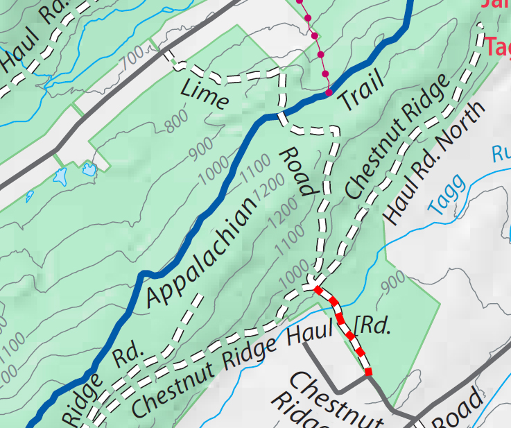 Chestnut Ridge trail