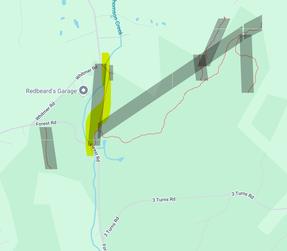 Thompson Hollow Forest road image not found