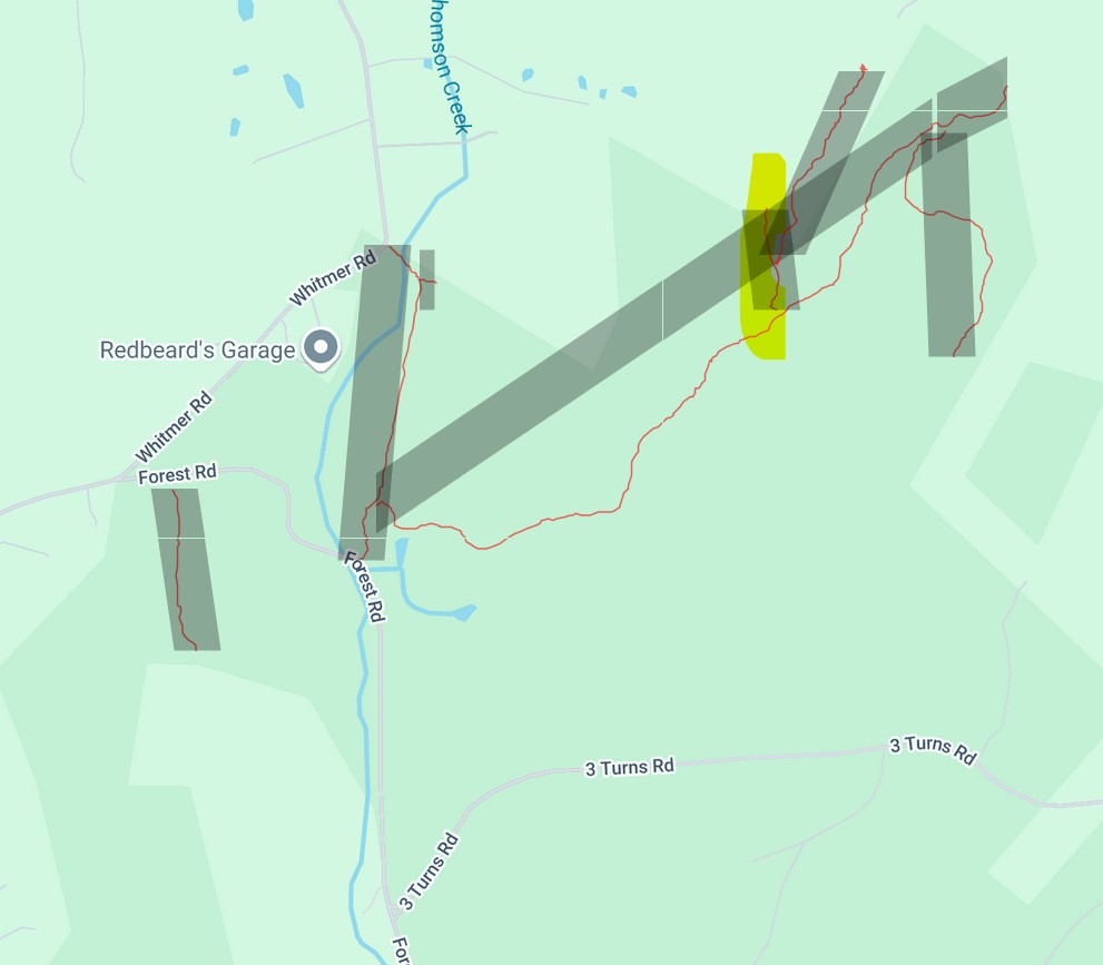 Thompson Hollow Logging road6 image not found