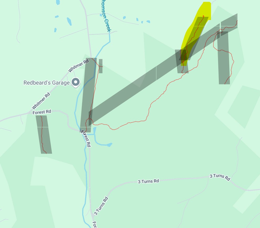 Thompson Hollow Logging road7 image not found