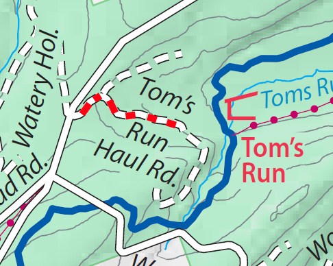 Toms Run Haul road
