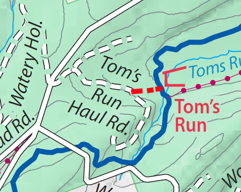 Toms Run trail