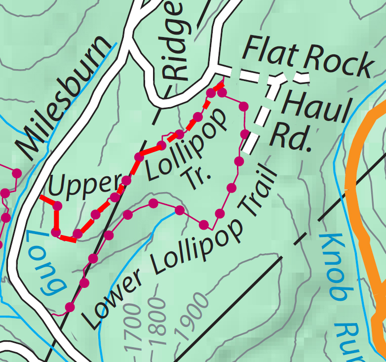 Upper Lollipop trail